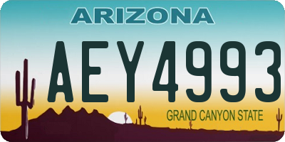 AZ license plate AEY4993