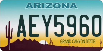 AZ license plate AEY5960