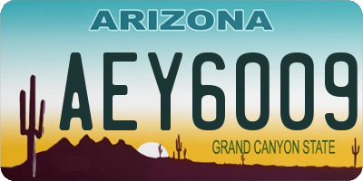 AZ license plate AEY6009