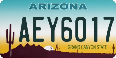 AZ license plate AEY6017