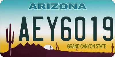 AZ license plate AEY6019
