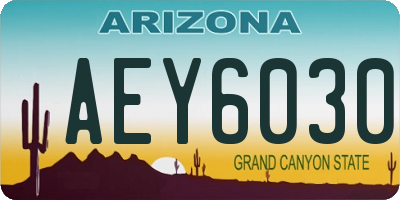AZ license plate AEY6030