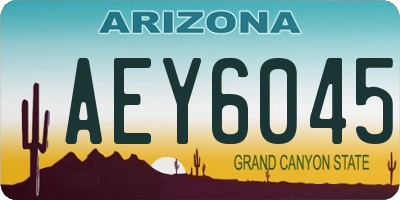 AZ license plate AEY6045