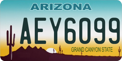 AZ license plate AEY6099