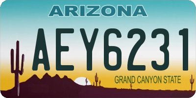 AZ license plate AEY6231