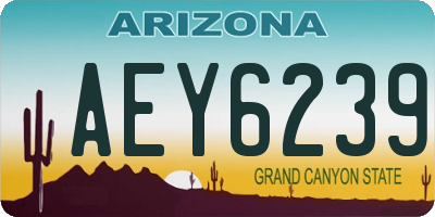 AZ license plate AEY6239