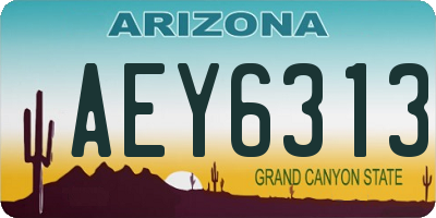 AZ license plate AEY6313