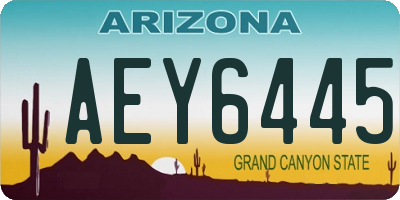 AZ license plate AEY6445