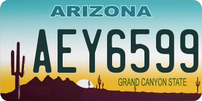AZ license plate AEY6599