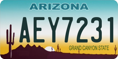 AZ license plate AEY7231