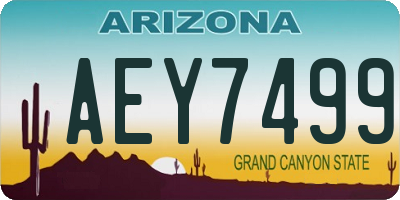 AZ license plate AEY7499