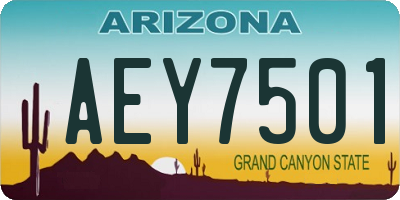 AZ license plate AEY7501