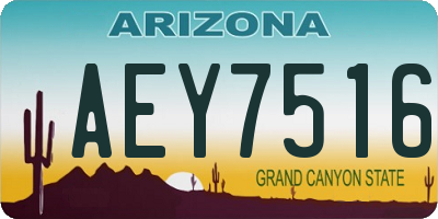 AZ license plate AEY7516