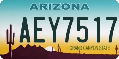 AZ license plate AEY7517