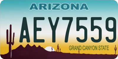AZ license plate AEY7559