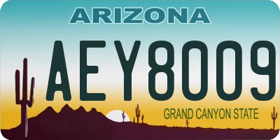 AZ license plate AEY8009