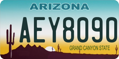 AZ license plate AEY8090