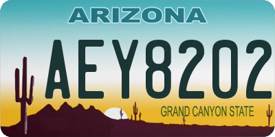 AZ license plate AEY8202