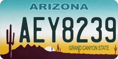 AZ license plate AEY8239