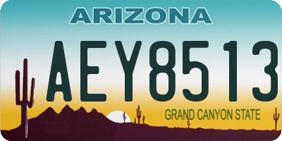 AZ license plate AEY8513
