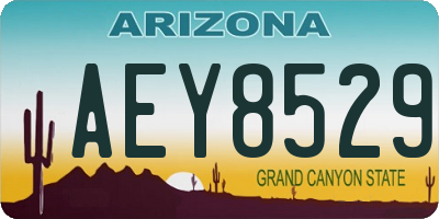 AZ license plate AEY8529