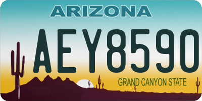 AZ license plate AEY8590