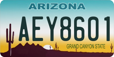 AZ license plate AEY8601