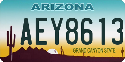 AZ license plate AEY8613