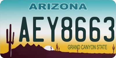 AZ license plate AEY8663