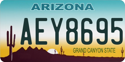 AZ license plate AEY8695