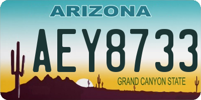 AZ license plate AEY8733