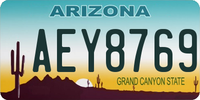 AZ license plate AEY8769