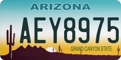 AZ license plate AEY8975