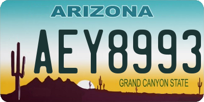 AZ license plate AEY8993