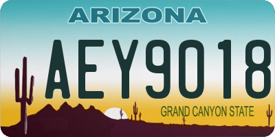 AZ license plate AEY9018