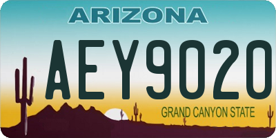 AZ license plate AEY9020
