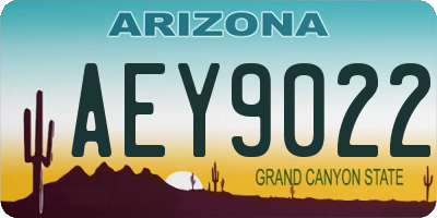 AZ license plate AEY9022