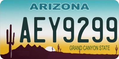 AZ license plate AEY9299