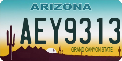 AZ license plate AEY9313