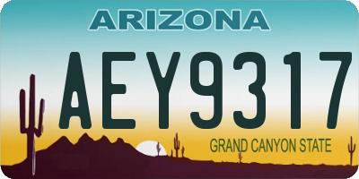 AZ license plate AEY9317