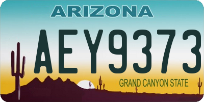 AZ license plate AEY9373