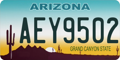AZ license plate AEY9502