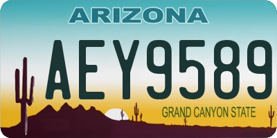 AZ license plate AEY9589
