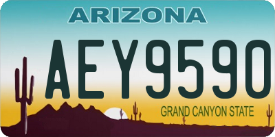 AZ license plate AEY9590