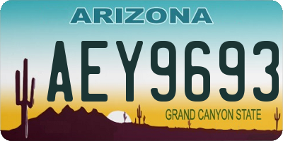AZ license plate AEY9693