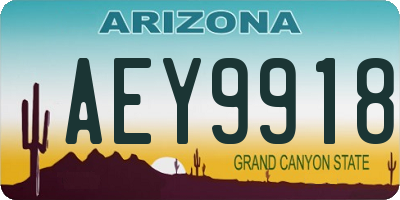 AZ license plate AEY9918
