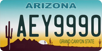 AZ license plate AEY9990