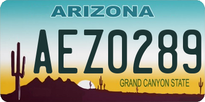 AZ license plate AEZ0289
