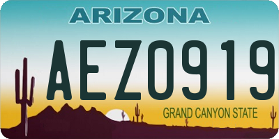 AZ license plate AEZ0919