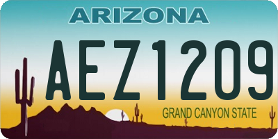 AZ license plate AEZ1209